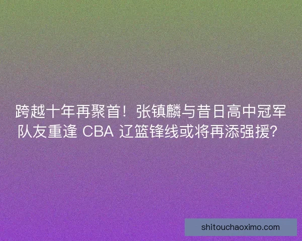 跨越十年再聚首！张镇麟与昔日高中冠军队友重逢 CBA 辽篮锋线或将再添强援？