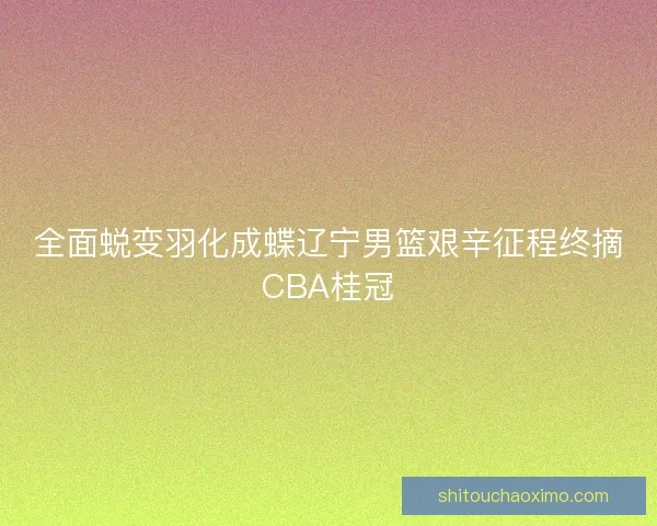 全面蜕变羽化成蝶辽宁男篮艰辛征程终摘CBA桂冠