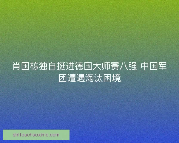 肖国栋独自挺进德国大师赛八强 中国军团遭遇淘汰困境